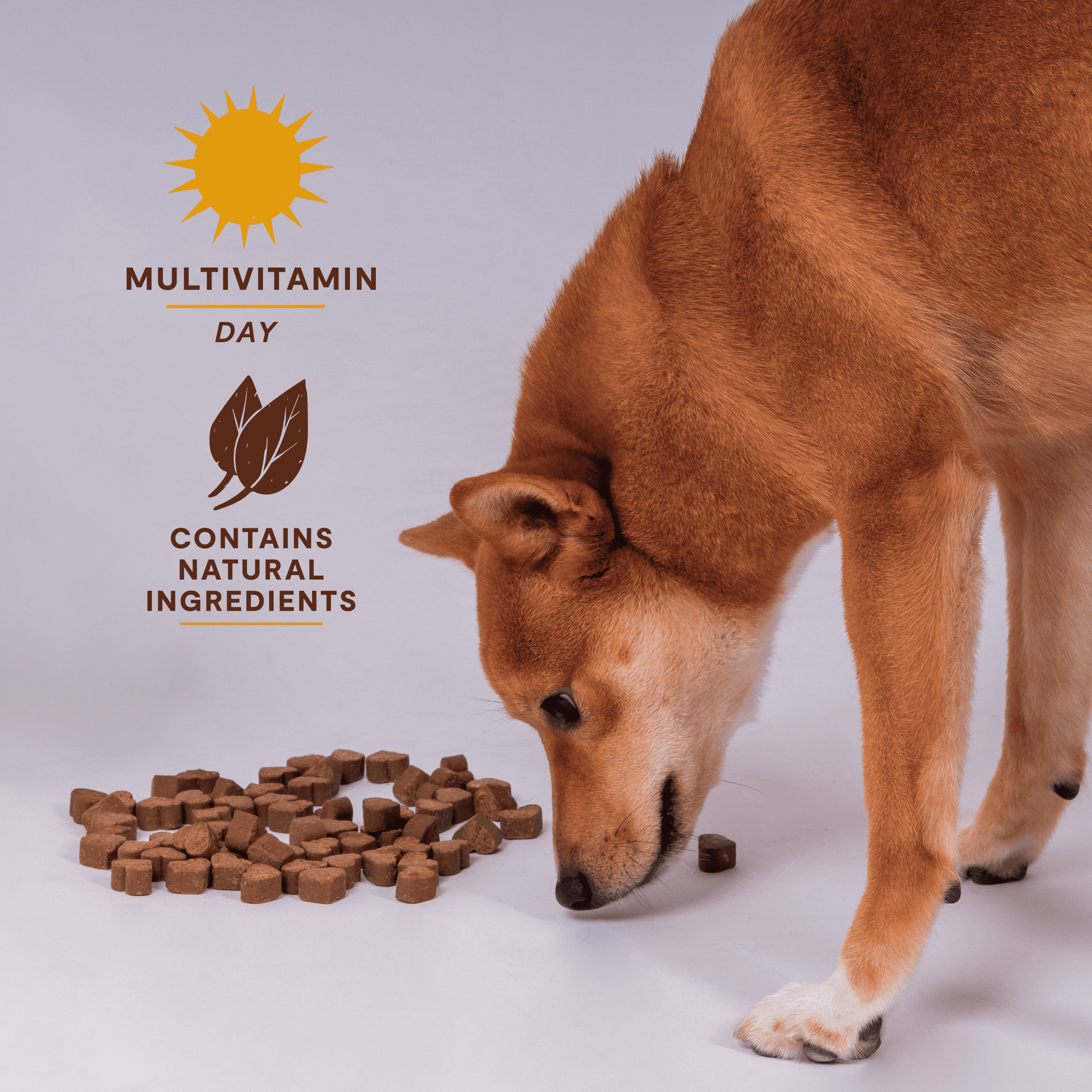 Furest Pet - Dog Allergy Relief & Immune Support - with Probiotic, Beta Glucan, Vitamin C, Zinc, Ginger, Elderberry, Curcumin, Colostrum & Astragalus - Bacon - 90 Count