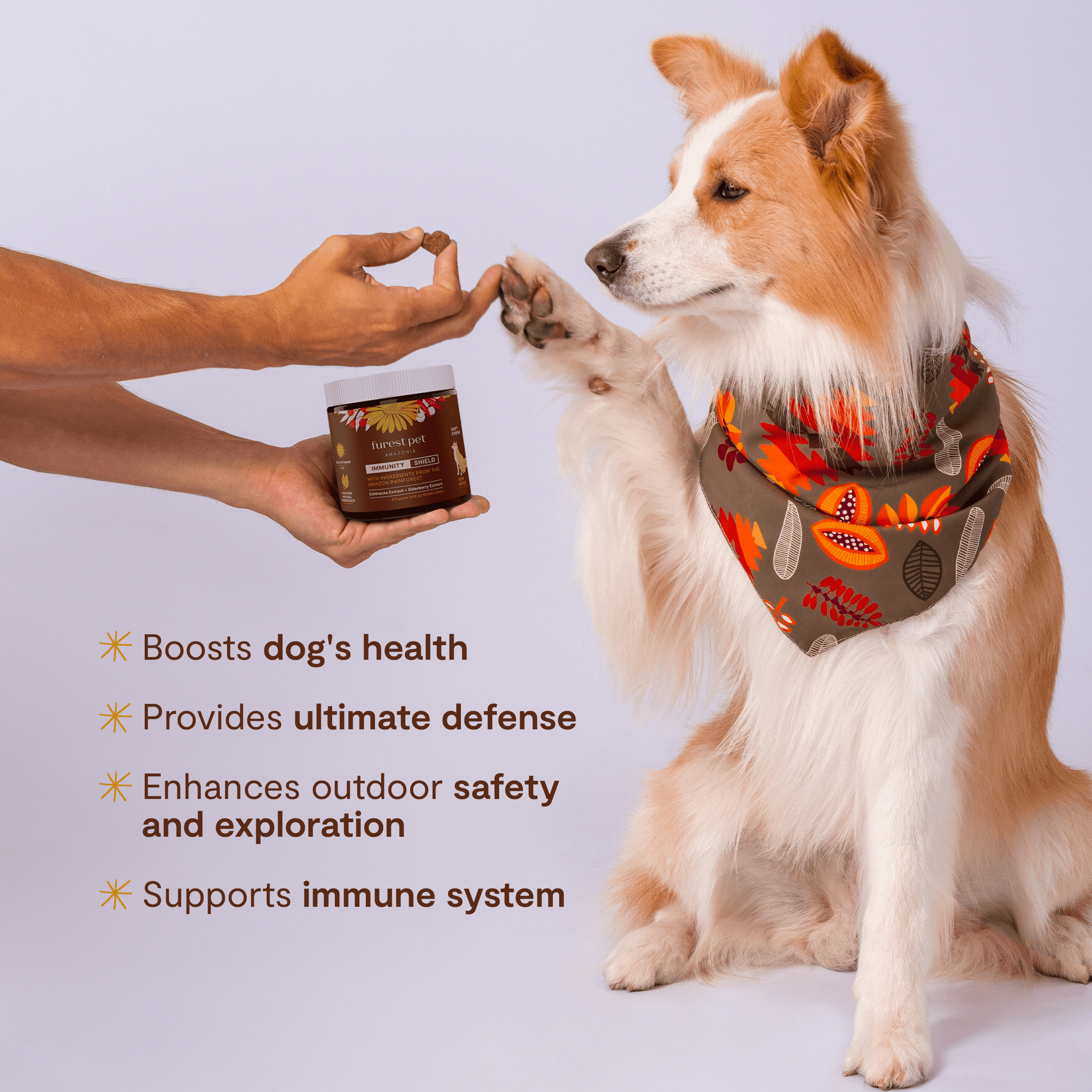 Furest Pet - Dog Allergy Relief & Immune Support - with Probiotic, Beta Glucan, Vitamin C, Zinc, Ginger, Elderberry, Curcumin, Colostrum & Astragalus - Bacon - 90 Count